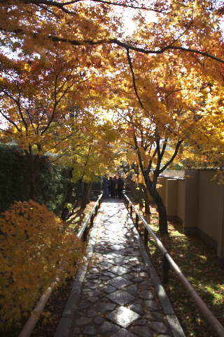 c0071763_33569.jpg