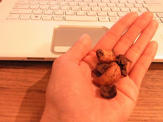 c0199166_7391660.jpg