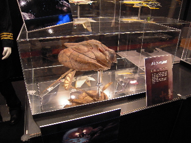 ヤマト・サカス_e0033570_1955223.jpg