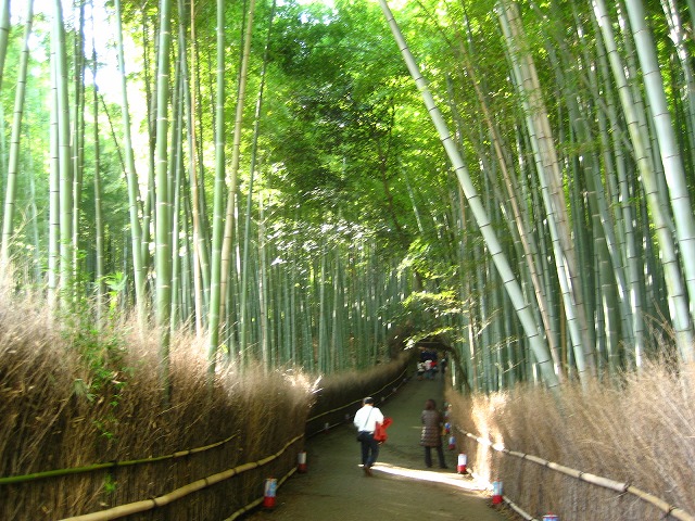 京都・嵯峨野　散紅葉の後_e0106372_12512590.jpg