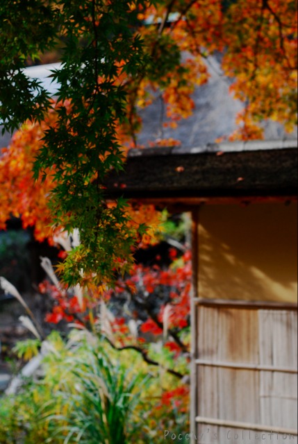 Kamakura　66_f0046675_10301221.jpg