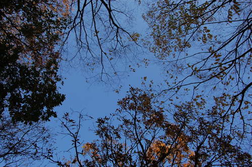 b0183681_19525068.jpg