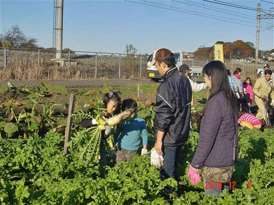 第７回菜の花農業体験教室_野菜の収穫　2010/12/04（土）_c0145581_21173630.jpg