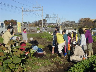 第７回菜の花農業体験教室_野菜の収穫　2010/12/04（土）_c0145581_21221699.jpg