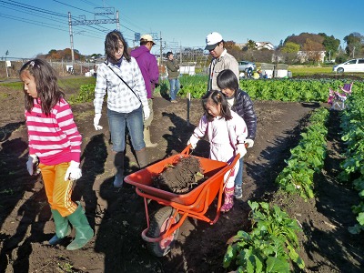 第７回菜の花農業体験教室_野菜の収穫　2010/12/04（土）_c0145581_21244543.jpg