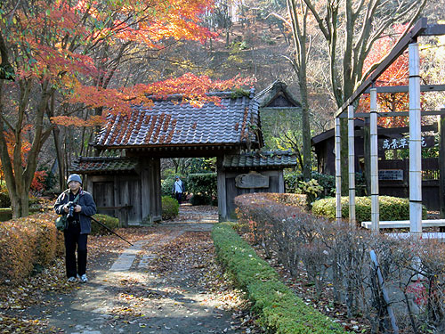 町田の薬師池公園で紅葉をミテキタヨ_a0129988_22563934.jpg