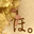 c0131488_7142933.gif