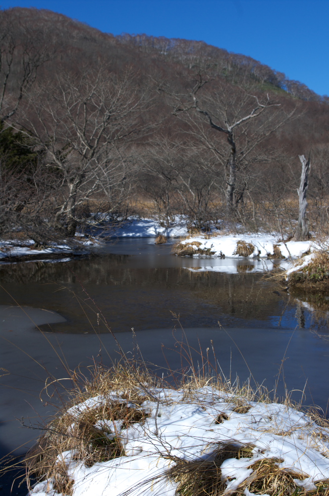 沼ッ原湿原2010初冬_f0137288_1814278.jpg