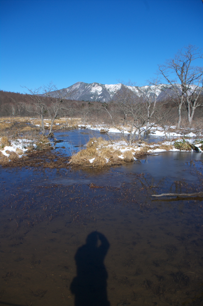 沼ッ原湿原2010初冬_f0137288_18164495.jpg