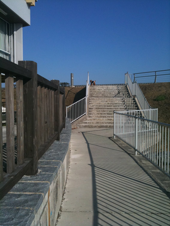 f0146388_22114.jpg