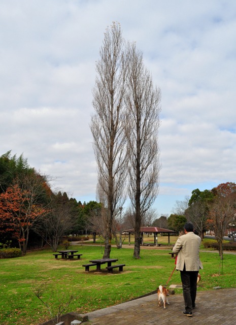 七井戸公園でお散歩!_a0126590_22562474.jpg