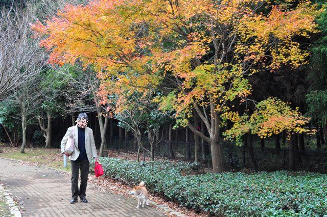 七井戸公園でお散歩!_a0126590_22591398.jpg