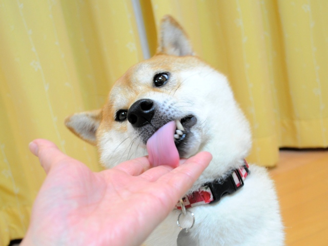 娘のいたわり?_a0126590_9401329.jpg