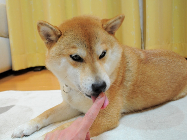 娘のいたわり?_a0126590_9402569.jpg
