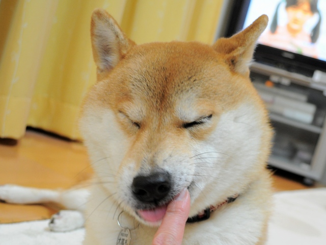 娘のいたわり?_a0126590_9411617.jpg