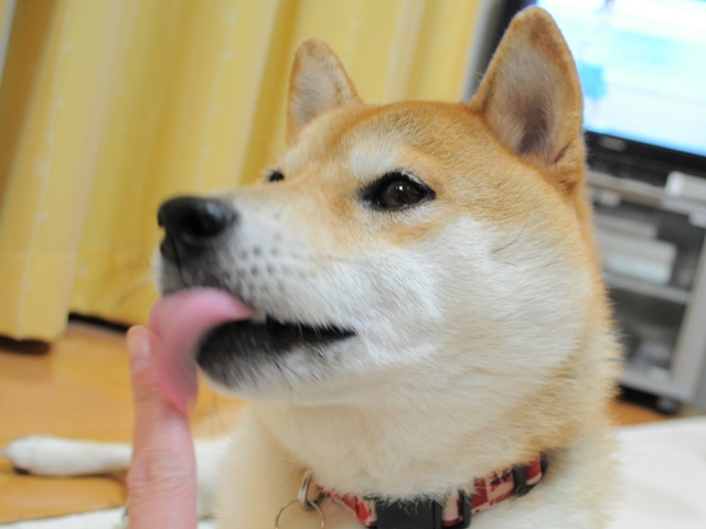 娘のいたわり?_a0126590_9415783.jpg