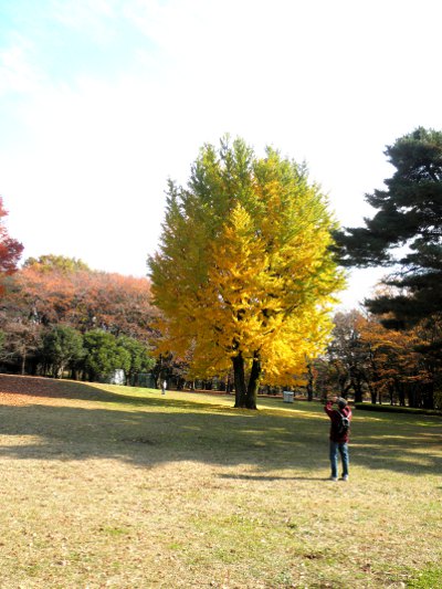 武蔵野公園、野川公園で撮影会_d0175990_168546.jpg