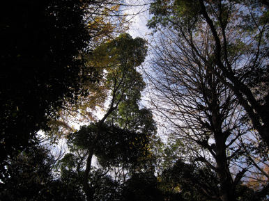 c0142491_1835145.jpg