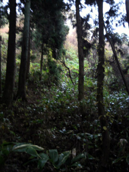 e0140496_21561820.jpg