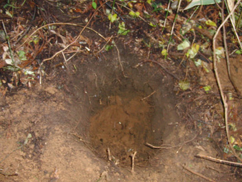 e0140496_2225798.jpg