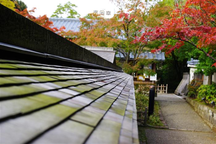 養浩館庭園での写真2_f0226196_1926230.jpg