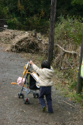 舞岡公園へお散歩_f0056297_18511518.jpg