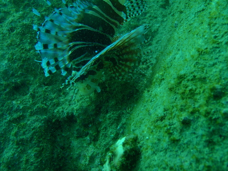 e0115199_2029977.jpg