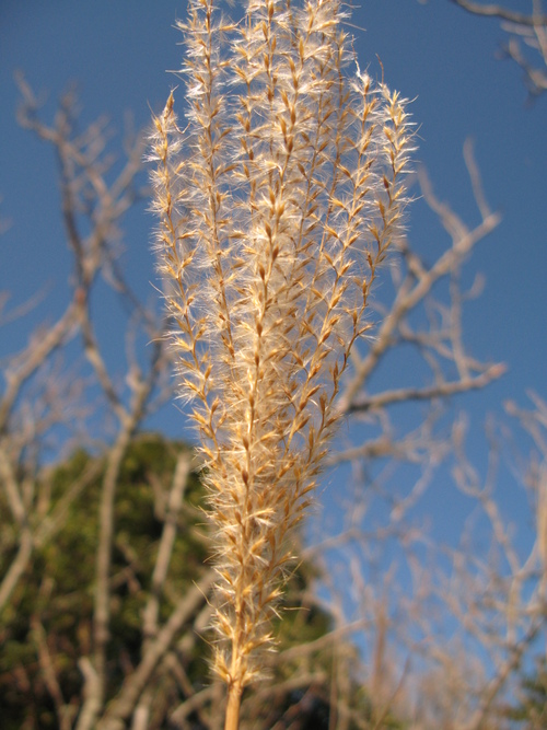 a0166601_18362641.jpg