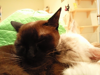 c0181601_1384191.jpg