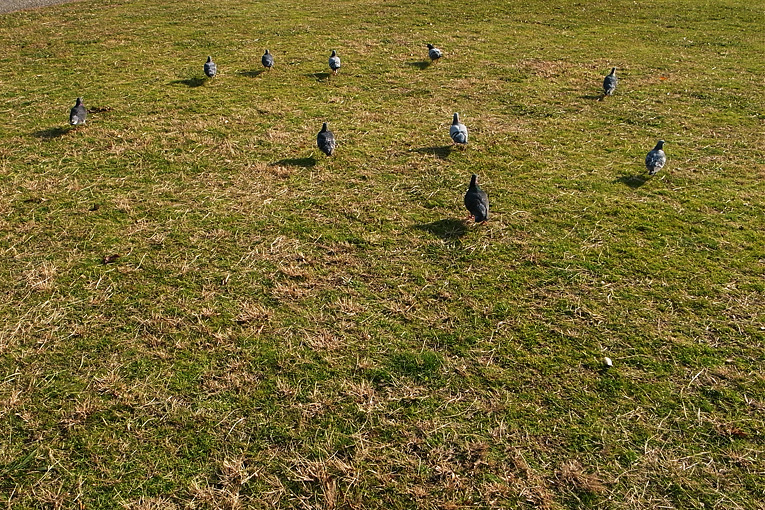 c0102003_12453854.jpg