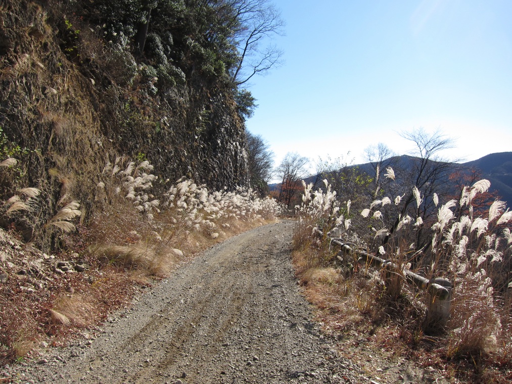 今年最後?の林道_f0141609_234554.jpg