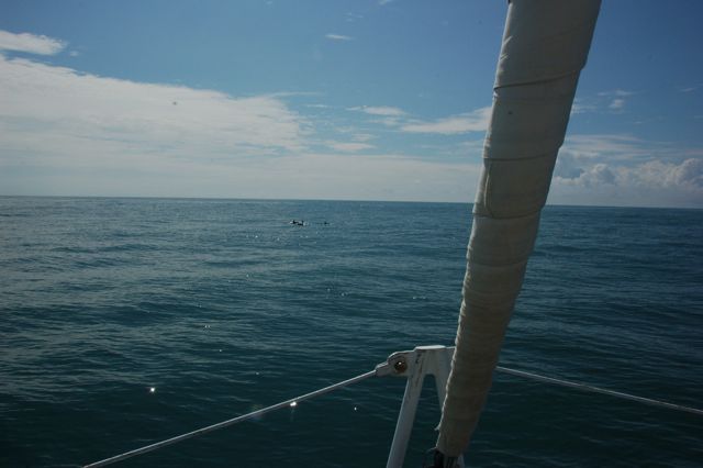 f0227709_14491427.jpg