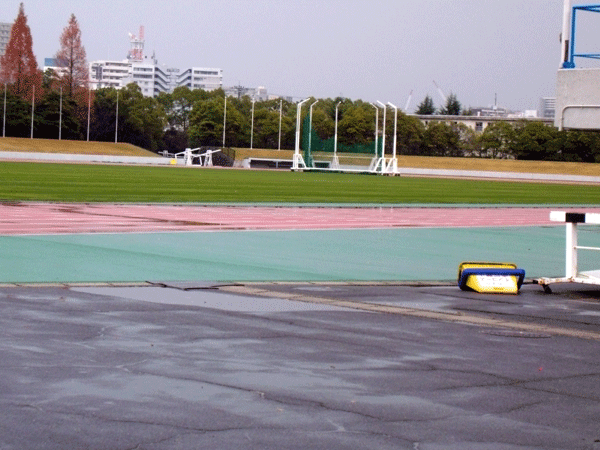 b0159611_0492719.gif