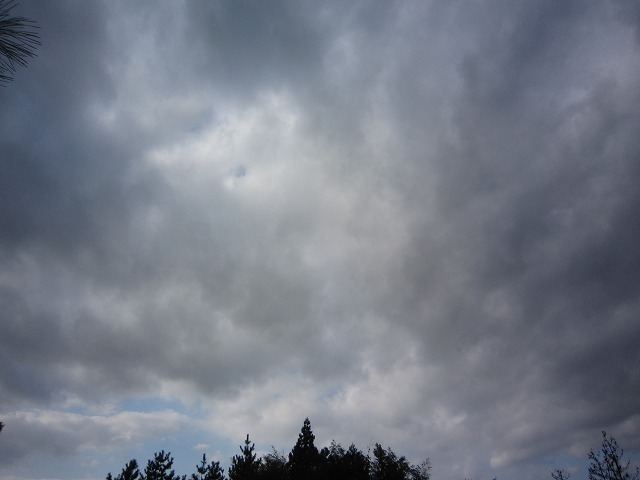a0098513_14241141.jpg