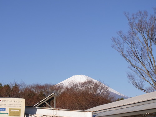 The Day_d0179518_21235659.jpg