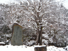 f0090719_8423760.jpg