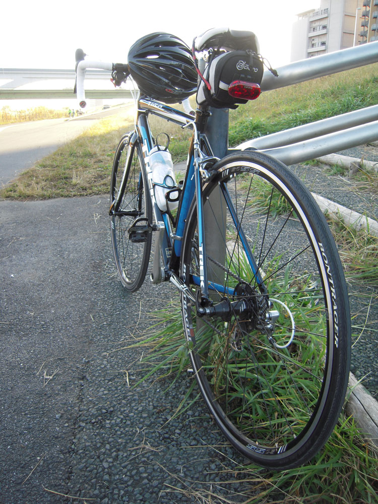 c0020423_8103780.jpg