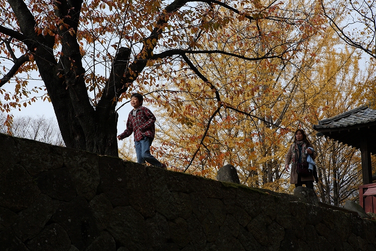 上田城の紅葉　２_d0170525_211744.jpg