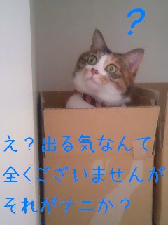 c0076330_22433275.jpg