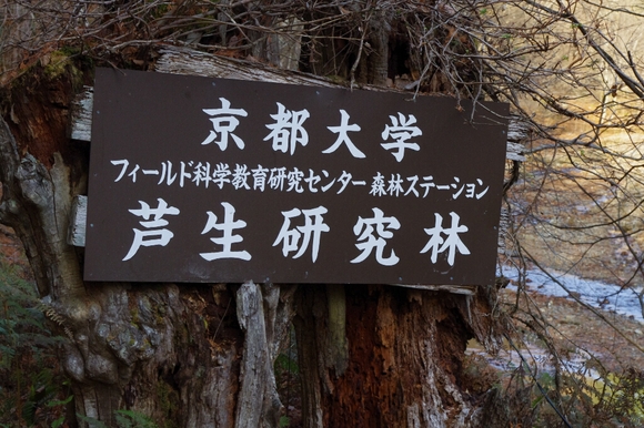 c0113733_1191024.jpg