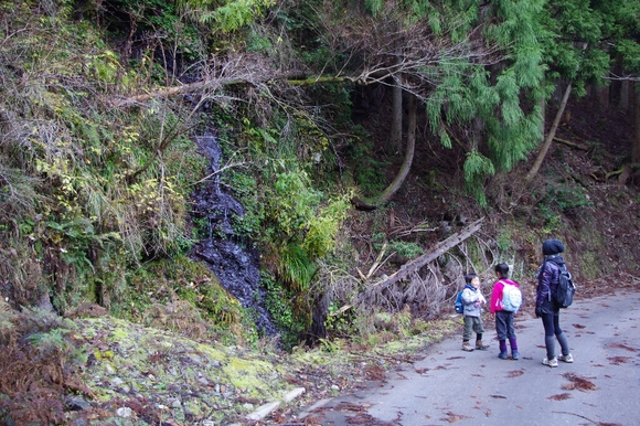 c0113733_1252892.jpg