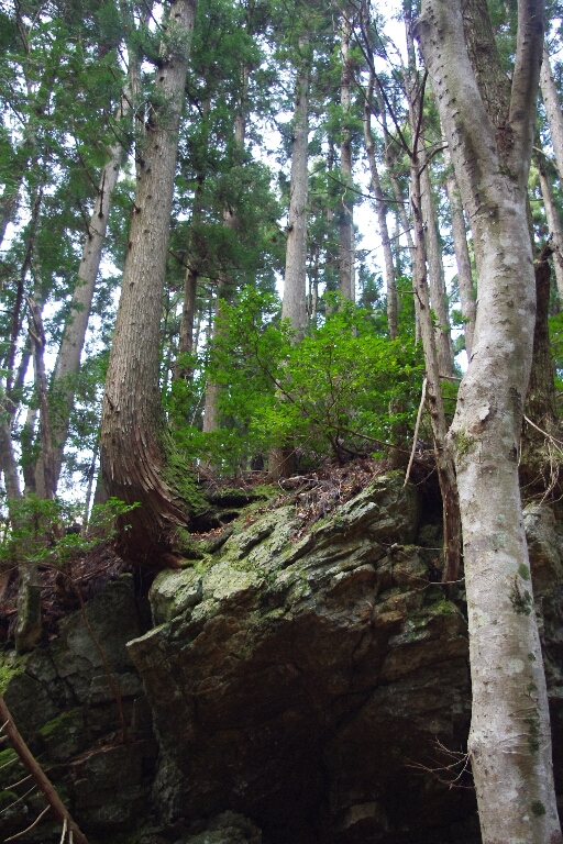 c0113733_1264252.jpg