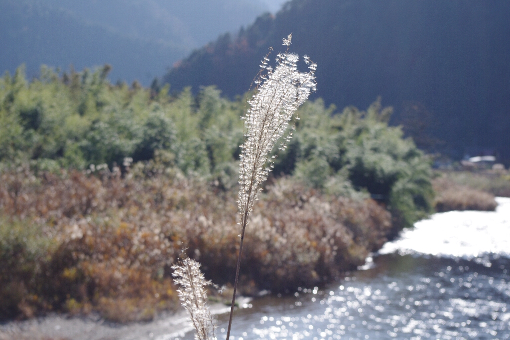 c0113733_1375971.jpg