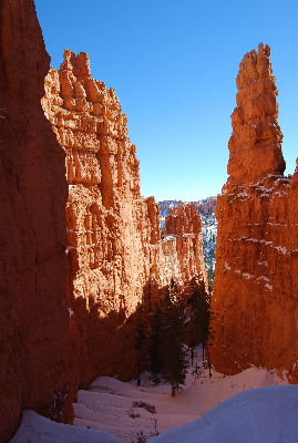 Bryce canyon_f0204533_11515122.jpg