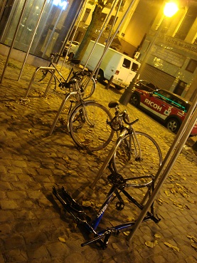 e0120938_7689.jpg