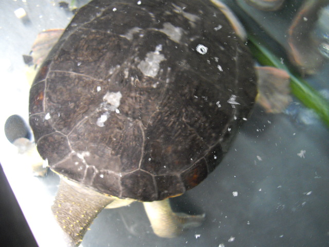 e0119439_23513164.jpg