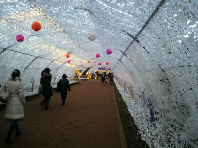 c0077741_0405669.jpg