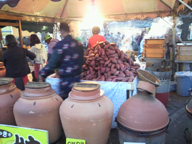 c0077741_049886.jpg