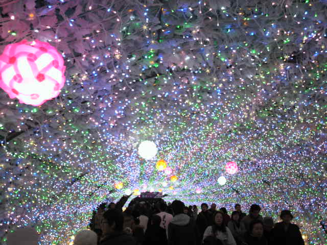 c0077741_0544965.jpg
