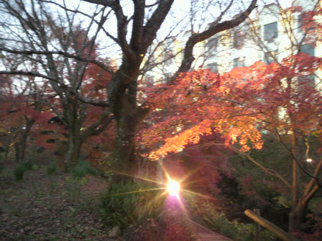 c0077741_056323.jpg